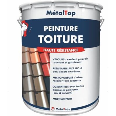 Metaltop Peinture Toiture Ivoire Ton pierre RAL 1015-15 L Protection UV longue durée pour tuile, ardoise, tôle et fibrociment. Publicité Metaltop Peinture Toiture Ivoire Ton pierre RAL 1015-15 L Protection UV longue durée pour tuile, ardoise, tôle et fibrociment. Publicité