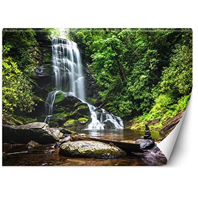 Feeby Papier Peint Intissé Nature Chute d'eau Cascade 400x280 cm vert XXL Moderne Décoration Murale Tableaux Muraux Tapisserie Salon Chambre à coucher La forêt Des rochers L'eau - Publicité Feeby Papier Peint Intissé Nature Chute d'eau Cascade 400x280 cm vert XXL Moderne Décoration Murale Tableaux Muraux Tapisserie Salon Chambre à coucher La forêt Des rochers L'eau - Publicité