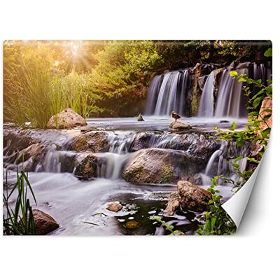 Feeby Papier Peint Intissé Nature Cascade Chute d'eau 250x175 cm blanc XXL Moderne Décoration Murale Tableaux Muraux Tapisserie Salon Chambre à coucher La forêt Des rochers Eau - Publicité Feeby Papier Peint Intissé Nature Cascade Chute d'eau 250x175 cm blanc XXL Moderne Décoration Murale Tableaux Muraux Tapisserie Salon Chambre à coucher La forêt Des rochers Eau - Publicité