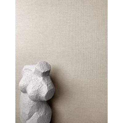 Newroom papier peint intissé taupe uni aspect lin mat salon couloir - Publicité Newroom papier peint intissé taupe uni aspect lin mat salon couloir - Publicité