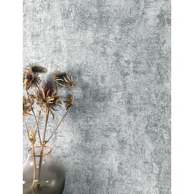 Newroom Papier Peint Intissé Gris Effet Béton Industriel Chambre Structure enduit brut, aspect relief ciré, taches anthracite foncées, ambiance loft, style moderne, salon, bureau - Publicité Newroom Papier Peint Intissé Gris Effet Béton Industriel Chambre Structure enduit brut, aspect relief ciré, taches anthracite foncées, ambiance loft, style moderne, salon, bureau - Publicité