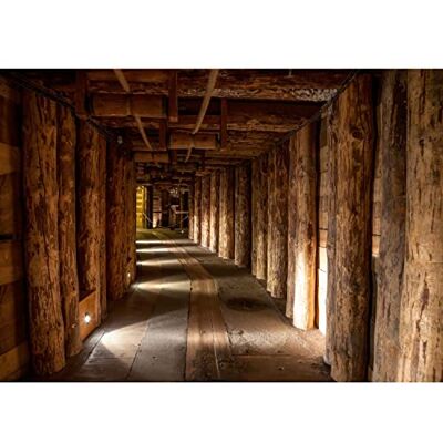ART Papier peint intissé Mine de bois 3D 352 x 250 cm Toison Mur XXL Tableaux Muraux Tapisserie Photo Décoration Murale Salon Chambre marron 9003011c - Publicité ART Papier peint intissé Mine de bois 3D 352 x 250 cm Toison Mur XXL Tableaux Muraux Tapisserie Photo Décoration Murale Salon Chambre marron 9003011c - Publicité
