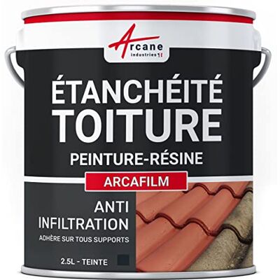 ARCANE INDUSTRIES Résine imperméabilisante - Revêtement flexible pour toitures inclinées - Publicité ARCANE INDUSTRIES Résine imperméabilisante - Revêtement flexible pour toitures inclinées - Publicité