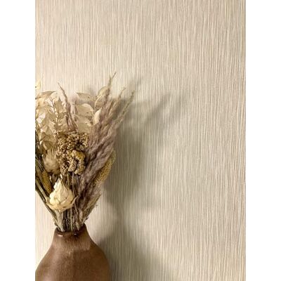 Newroom papier peint intissé beige uni sable salon séjour entrée - Publicité Newroom papier peint intissé beige uni sable salon séjour entrée - Publicité