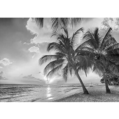 ART Papier peint intissé Plage et mer 396 x 280 cm Laine papier peint Salon Chambre Bureau Couloir décoration Peinture murale décor mural moderne 100% FABRIQUÉ EN ALLEMAGNE 9243012c - Publicité ART Papier peint intissé Plage et mer 396 x 280 cm Laine papier peint Salon Chambre Bureau Couloir décoration Peinture murale décor mural moderne 100% FABRIQUÉ EN ALLEMAGNE 9243012c - Publicité