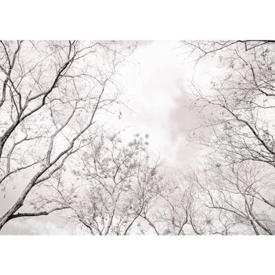 ART 9596010b Papier peint photo moderne non tissé Motif arbre forêt pour salon et chambre à coucher Fabriqué en Allemagne Rose - Publicité ART 9596010b Papier peint photo moderne non tissé Motif arbre forêt pour salon et chambre à coucher Fabriqué en Allemagne Rose - Publicité