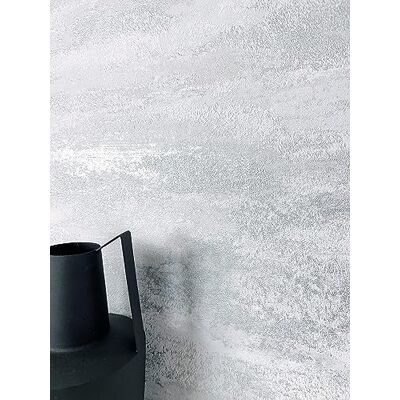 Newroom papier peint intissé argent effet crépi salon industriel gris argenté à reflets métallisés, structure mouchetée, papier peint chambre, décoration murale, style scandinave, couloir - Publicité Newroom papier peint intissé argent effet crépi salon industriel gris argenté à reflets métallisés, structure mouchetée, papier peint chambre, décoration murale, style scandinave, couloir - Publicité