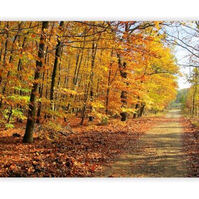 murando Papier peint panoramique moderne 350x270 cm Revêtement mural décoration salon Design moderne Rose rouge beige jaune Des arbres forêt feuilles nature paysage plantes 100403-103 - Publicité murando Papier peint panoramique moderne 350x270 cm Revêtement mural décoration salon Design moderne Rose rouge beige jaune Des arbres forêt feuilles nature paysage plantes 100403-103 - Publicité
