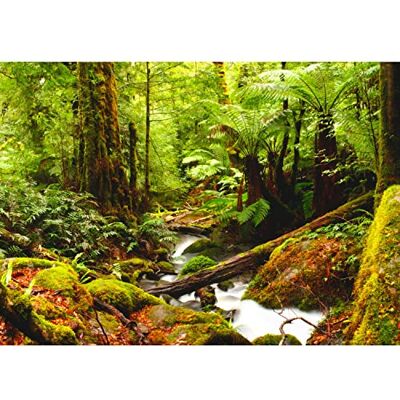 ART Papier peint intissé Mural forêt rivière Moderne Toison Salon Chambre à Coucherr Salle Tableaux Muraux Tapisserie Photo vert 9037010b - Publicité ART Papier peint intissé Mural forêt rivière Moderne Toison Salon Chambre à Coucherr Salle Tableaux Muraux Tapisserie Photo vert 9037010b - Publicité