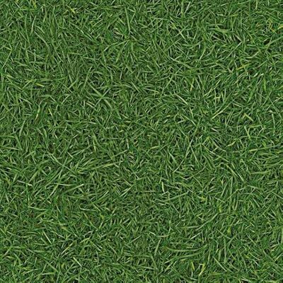 Decoweb Sol Vinyle Nature Imitation Gazon Rouleau de 4m x 2m - Publicité Decoweb Sol Vinyle Nature Imitation Gazon Rouleau de 4m x 2m - Publicité