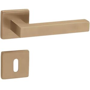 Gedotec Béquille de porte en laiton brossé 1 kit Garniture de rosace sur rosace carrée KARAT BB Oval Béquille de porte pour portes intérieures - Publicité Gedotec Béquille de porte en laiton brossé 1 kit Garniture de rosace sur rosace carrée KARAT BB Oval Béquille de porte pour portes intérieures - Publicité