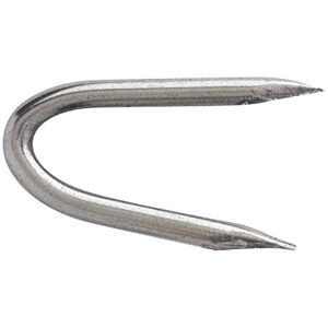 TE. Pointes Crampillon clair acier ordinaire Longueur 30 mm Diamètre 3 mm 1 kg - Publicité TE. Pointes Crampillon clair acier ordinaire Longueur 30 mm Diamètre 3 mm 1 kg - Publicité