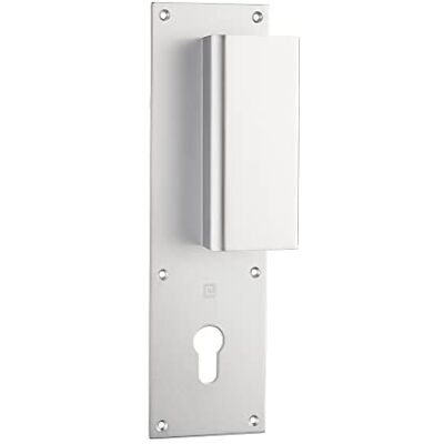 HERACLES Poignée palière aluminium type Bastille 70x250mm argent clé I I-231103CLEI - Publicité HERACLES Poignée palière aluminium type Bastille 70x250mm argent clé I I-231103CLEI - Publicité