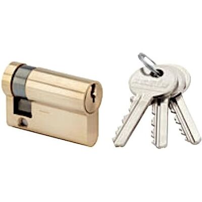 RONIS 1269 - Cylindre européen en laiton 10x30mm - Cylindre de serrure - Publicité RONIS 1269 - Cylindre européen en laiton 10x30mm - Cylindre de serrure - Publicité
