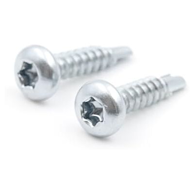 Design61 Lot de 200 vis autoforeuses à tête bombée 3,5 x 16 mm, en acier trempé, galvanisé, résistantes à la rouille, pour bois et construction métallique, vis autotaraudeuses TX-15 - Publicité Design61 Lot de 200 vis autoforeuses à tête bombée 3,5 x 16 mm, en acier trempé, galvanisé, résistantes à la rouille, pour bois et construction métallique, vis autotaraudeuses TX-15 - Publicité