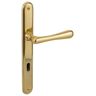 Gedotec Poignée de porte en laiton vieilli Style vintage Élégante En laiton poli Serrure à garnitures Avec vis - Publicité Gedotec Poignée de porte en laiton vieilli Style vintage Élégante En laiton poli Serrure à garnitures Avec vis - Publicité