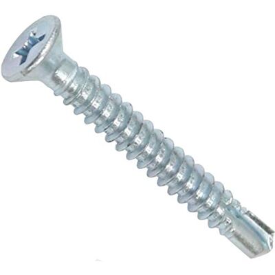 AERZETIX C44705 Lot de 100 Vis à tôle autoperceuses Ø4.8x38mm à tête fraisée DIN 7504 P à empreinte PH/cruciforme en acier zingué bardage tôle ossature métallique couleur argent - Publicité AERZETIX C44705 Lot de 100 Vis à tôle autoperceuses Ø4.8x38mm à tête fraisée DIN 7504 P à empreinte PH/cruciforme en acier zingué bardage tôle ossature métallique couleur argent - Publicité
