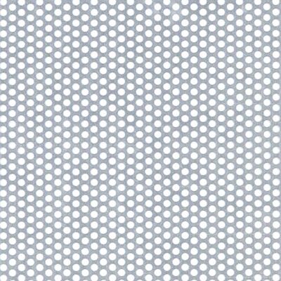 Alberts 467074 Tôle perforée perforation de forme circulaire acier zingué 1000 x 300 x 1,5 mm - Publicité Alberts 467074 Tôle perforée perforation de forme circulaire acier zingué 1000 x 300 x 1,5 mm - Publicité