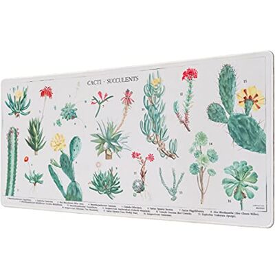 Grupo Erik Tapis de Souris XXL Botanical Cacti Tapis de Bureau 80 x 35 cm Sous Main Bureau, Tapis de Souris Gamer, Tapis de Bureau Gaming, Déco Bureau - Publicité Grupo Erik Tapis de Souris XXL Botanical Cacti Tapis de Bureau 80 x 35 cm Sous Main Bureau, Tapis de Souris Gamer, Tapis de Bureau Gaming, Déco Bureau - Publicité