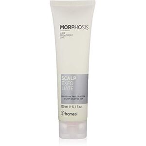 Framesi Masque exfoliant scalp MORPHOSIS 150 ml - Publicité Framesi Masque exfoliant scalp MORPHOSIS 150 ml - Publicité