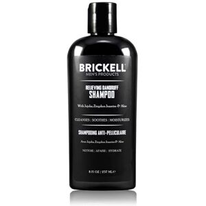 Brickell Men's Products Shampooing anti-pelliculaire Brickell pour hommes, naturel et biologique, apaise et élimine les pellicules avec Ziziphus Joazeiro, huile d'aloès et de jojoba (236 ml) - Publicité Brickell Men's Products Shampooing anti-pelliculaire Brickell pour hommes, naturel et biologique, apaise et élimine les pellicules avec Ziziphus Joazeiro, huile d'aloès et de jojoba (236 ml) - Publicité