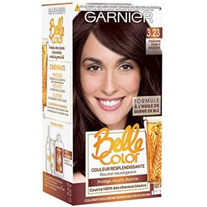Garnier Belle Color Terre de Soleil Coloration permanente Châtain 3.23 Chatain foncé radieux - Publicité Garnier Belle Color Terre de Soleil Coloration permanente Châtain 3.23 Chatain foncé radieux - Publicité