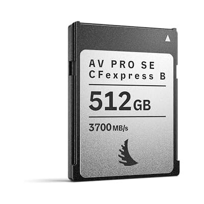 Angelbird AV PRO SE CFexpress B 512 Go CFexpress 4.0 Type B Carte mémoire Grande capacité et ultra haut débit pour jusqu'à 12 K+ RAW vidéo et production photo - Publicité Angelbird AV PRO SE CFexpress B 512 Go CFexpress 4.0 Type B Carte mémoire Grande capacité et ultra haut débit pour jusqu'à 12 K+ RAW vidéo et production photo - Publicité