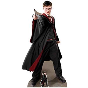 Star Cutouts Harry Potter Expecto Patronum Figurine Décorative 1,7m Noir - Figure Décorative - Publicité Star Cutouts Harry Potter Expecto Patronum Figurine Décorative 1,7m Noir - Figure Décorative - Publicité