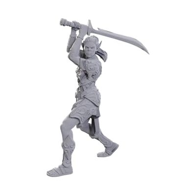 WizKids D&D Nolzurs Marvelous Miniatures: Special Edition Baldurs Gate 3 Laezel & Shadowheart - Publicité WizKids D&D Nolzurs Marvelous Miniatures: Special Edition Baldurs Gate 3 Laezel & Shadowheart - Publicité