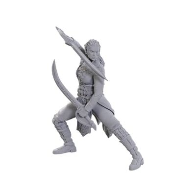 WizKids D&D Nolzur's Marvelous Miniatures : édition spéciale Baldur's Gate 3 (Jaheira & Halsin) - Publicité WizKids D&D Nolzur's Marvelous Miniatures : édition spéciale Baldur's Gate 3 (Jaheira & Halsin) - Publicité