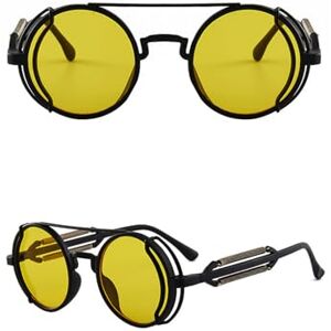 WENGU Lunettes de soleil polarisées vintage steampunk avec monture en plastique Protection UV Lunettes rondes avec verres colorés, Multicolore - Publicité