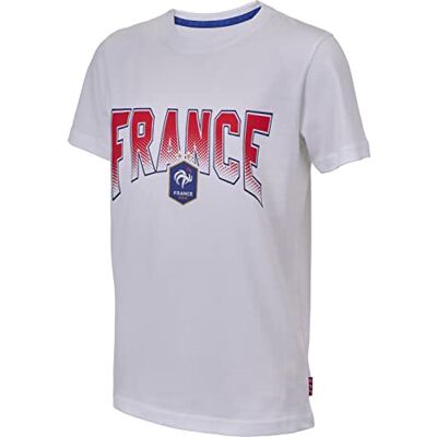 Equipe de France de Football T-Shirt Enfant FFF Collection Officielle Taille 10 Ans - Publicité Equipe de France de Football T-Shirt Enfant FFF Collection Officielle Taille 10 Ans - Publicité