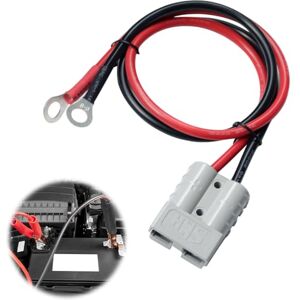Riisoyu Connecteur Batterie, 50A 600V Connectique Batterie Prise Connexion Rapide avec Fil de 50cm 10 AWG avec Cosses à Anneau Fil de Cuivre pour Moto Auto Camion - Publicité Riisoyu Connecteur Batterie, 50A 600V Connectique Batterie Prise Connexion Rapide avec Fil de 50cm 10 AWG avec Cosses à Anneau Fil de Cuivre pour Moto Auto Camion - Publicité