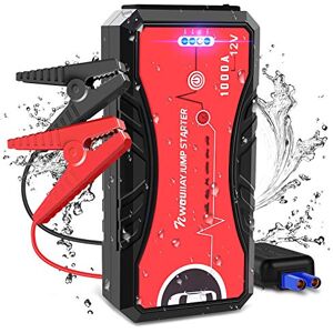 Chargeur de batterie 12V 60A et 24V, 20~1000Ah + fonction Booster