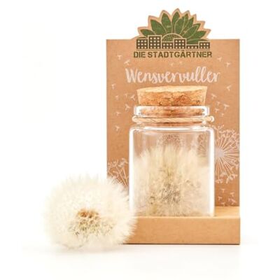 Die Stadtgärtner Réalisateur de souhaits Véritable boule de peluche dans un pot Durée de vie infinie Excellent cadeau pour anniversaire, mariage, fête des mères, Pâques, etc… - Publicité Die Stadtgärtner Réalisateur de souhaits Véritable boule de peluche dans un pot Durée de vie infinie Excellent cadeau pour anniversaire, mariage, fête des mères, Pâques, etc… - Publicité