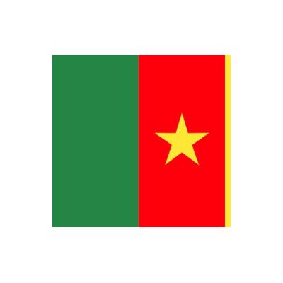 Planete Supporter Drapeau Cameroun 150 x 90 cm - Publicité Planete Supporter Drapeau Cameroun 150 x 90 cm - Publicité