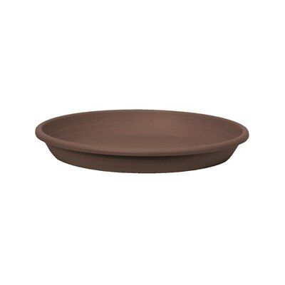 Merkury Market Plateau de Fleurs Cylindre 56cm Beige Avana - Publicité Merkury Market Plateau de Fleurs Cylindre 56cm Beige Avana - Publicité