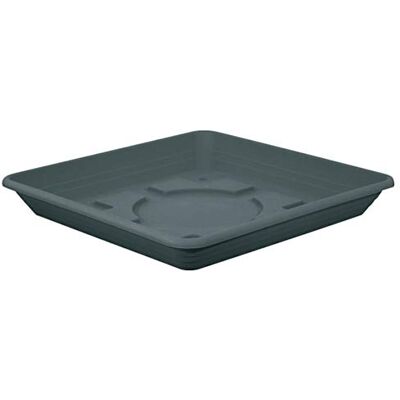 Geli Nora Soucoupe Fleurs des Couleurs différentes 20 cm Anthracite - Publicité Geli Nora Soucoupe Fleurs des Couleurs différentes 20 cm Anthracite - Publicité