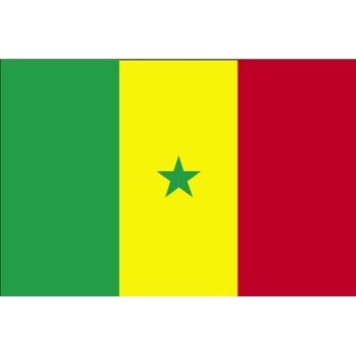 Planete Supporter Drapeau Sénégal 150 x 90 cm - Publicité Planete Supporter Drapeau Sénégal 150 x 90 cm - Publicité