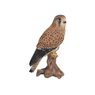 Vivid Arts Xrl-kest-d Kestrel Standing On Tree Trunk Ornament - Publicité Vivid Arts Xrl-kest-d Kestrel Standing On Tree Trunk Ornament - Publicité