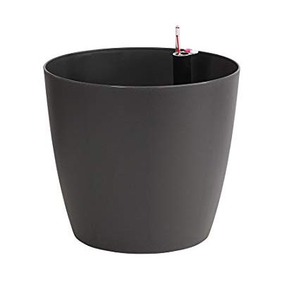 Pot de Plante Dehner Mila avec Système d'Arrosage Automatique - Type de Plante - Publicité Pot de Plante Dehner Mila avec Système d'Arrosage Automatique - Type de Plante - Publicité
