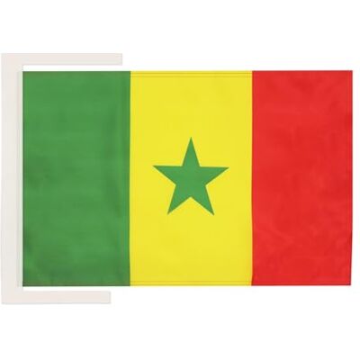 AZ FLAG - Drapeau du Sénégal 45x30 - Drapeau - Publicité AZ FLAG - Drapeau du Sénégal 45x30 - Drapeau - Publicité