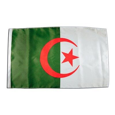 Digni® Drapeau Algerie 30 x 45 cm - Publicité Digni® Drapeau Algerie 30 x 45 cm - Publicité