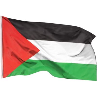 aricona Drapeau Palestine 90x150cm – palestinien résistant aux intempéries, avec œillets en laiton, 100% polyester, coutures doubles robustes et couleurs éclatantes – pour les passionnés de drapeaux - Publicité aricona Drapeau Palestine 90x150cm – palestinien résistant aux intempéries, avec œillets en laiton, 100% polyester, coutures doubles robustes et couleurs éclatantes – pour les passionnés de drapeaux - Publicité