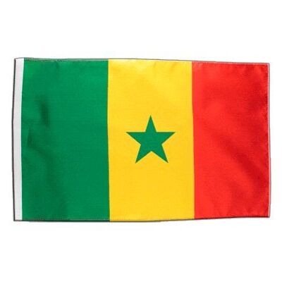 Digni® Drapeau Sénégal 30 x 45 cm - Publicité Digni® Drapeau Sénégal 30 x 45 cm - Publicité