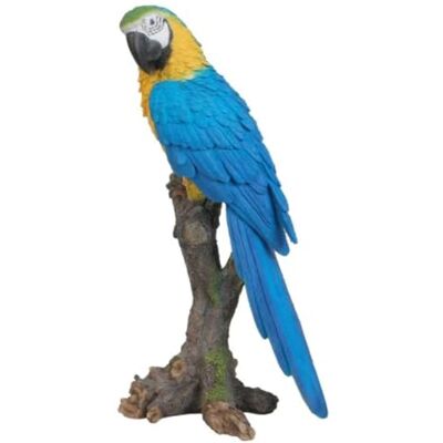 Vivid Arts XRL-MCW7-B Oiseaux exotiques Jaune Perché Décoration de maison ou de jardin - Publicité Vivid Arts XRL-MCW7-B Oiseaux exotiques Jaune Perché Décoration de maison ou de jardin - Publicité