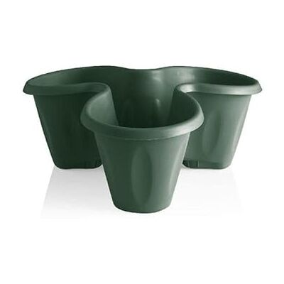 bama 30002 Trifoglio Pot de Fleurs, Vert, 30 x 40 x 16 cm - Publicité bama 30002 Trifoglio Pot de Fleurs, Vert, 30 x 40 x 16 cm - Publicité