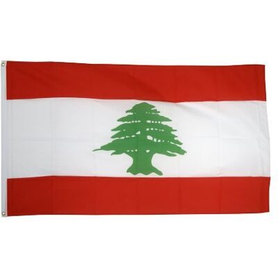Digni Drapeau Liban 60 x 90 cm - Publicité Digni Drapeau Liban 60 x 90 cm - Publicité