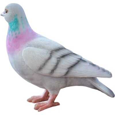 Vivid Arts - British Birds- réaliste pigeon Résine Ornement - Publicité Vivid Arts - British Birds- réaliste pigeon Résine Ornement - Publicité