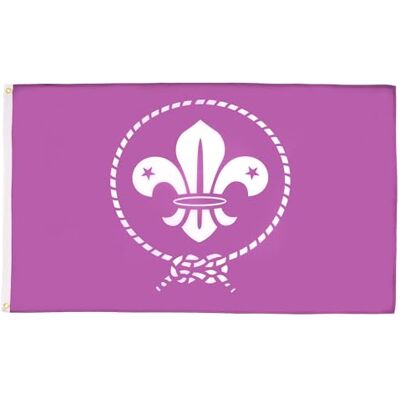 AZ FLAG Drapeau Scouts Violet 150x90 cm Drapeau Du Scoutisme 100% Polyester Avec Oeillets Métalliques Intégrés Pavillon 110 g - Publicité AZ FLAG Drapeau Scouts Violet 150x90 cm Drapeau Du Scoutisme 100% Polyester Avec Oeillets Métalliques Intégrés Pavillon 110 g - Publicité